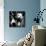 China 10MKm2 Collection - Giant Panda Baby-Philippe Hugonnard-Mounted Photographic Print displayed on a wall