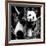 China 10MKm2 Collection - Giant Panda Baby-Philippe Hugonnard-Framed Photographic Print