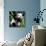 China 10MKm2 Collection - Giant Panda Baby-Philippe Hugonnard-Photographic Print displayed on a wall