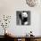 China 10MKm2 Collection - Giant Panda Baby-Philippe Hugonnard-Photographic Print displayed on a wall