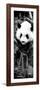 China 10MKm2 Collection - Giant Panda Baby-Philippe Hugonnard-Framed Photographic Print