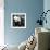 China 10MKm2 Collection - Giant Panda Baby-Philippe Hugonnard-Framed Photographic Print displayed on a wall