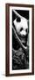 China 10MKm2 Collection - Giant Panda Baby-Philippe Hugonnard-Framed Photographic Print