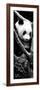 China 10MKm2 Collection - Giant Panda Baby-Philippe Hugonnard-Framed Photographic Print