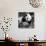 China 10MKm2 Collection - Giant Panda Baby-Philippe Hugonnard-Photographic Print displayed on a wall