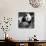 China 10MKm2 Collection - Giant Panda Baby-Philippe Hugonnard-Mounted Photographic Print displayed on a wall