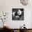 China 10MKm2 Collection - Giant Panda Baby-Philippe Hugonnard-Framed Stretched Canvas displayed on a wall