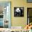 China 10MKm2 Collection - Giant Panda Baby-Philippe Hugonnard-Framed Stretched Canvas displayed on a wall