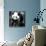 China 10MKm2 Collection - Giant Panda Baby-Philippe Hugonnard-Stretched Canvas displayed on a wall