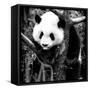 China 10MKm2 Collection - Giant Panda Baby-Philippe Hugonnard-Framed Stretched Canvas