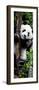 China 10MKm2 Collection - Giant Panda Baby-Philippe Hugonnard-Framed Photographic Print