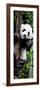 China 10MKm2 Collection - Giant Panda Baby-Philippe Hugonnard-Framed Photographic Print