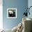 China 10MKm2 Collection - Giant Panda Baby-Philippe Hugonnard-Framed Photographic Print displayed on a wall