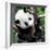 China 10MKm2 Collection - Giant Panda Baby-Philippe Hugonnard-Framed Photographic Print