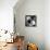 China 10MKm2 Collection - Giant Panda Baby-Philippe Hugonnard-Mounted Photographic Print displayed on a wall