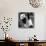 China 10MKm2 Collection - Giant Panda Baby-Philippe Hugonnard-Stretched Canvas displayed on a wall