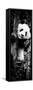 China 10MKm2 Collection - Giant Panda Baby-Philippe Hugonnard-Framed Stretched Canvas