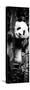 China 10MKm2 Collection - Giant Panda Baby-Philippe Hugonnard-Stretched Canvas