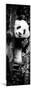 China 10MKm2 Collection - Giant Panda Baby-Philippe Hugonnard-Mounted Photographic Print