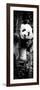 China 10MKm2 Collection - Giant Panda Baby-Philippe Hugonnard-Framed Photographic Print