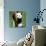 China 10MKm2 Collection - Giant Panda Baby-Philippe Hugonnard-Photographic Print displayed on a wall