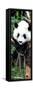 China 10MKm2 Collection - Giant Panda Baby-Philippe Hugonnard-Framed Stretched Canvas