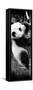 China 10MKm2 Collection - Giant Panda Baby-Philippe Hugonnard-Framed Stretched Canvas