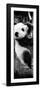 China 10MKm2 Collection - Giant Panda Baby-Philippe Hugonnard-Framed Photographic Print