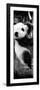 China 10MKm2 Collection - Giant Panda Baby-Philippe Hugonnard-Framed Photographic Print