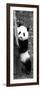 China 10MKm2 Collection - Giant Panda Baby-Philippe Hugonnard-Framed Photographic Print