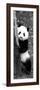 China 10MKm2 Collection - Giant Panda Baby-Philippe Hugonnard-Framed Photographic Print