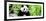 China 10MKm2 Collection - Giant Panda-Philippe Hugonnard-Framed Photographic Print