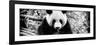 China 10MKm2 Collection - Giant Panda-Philippe Hugonnard-Framed Photographic Print