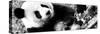 China 10MKm2 Collection - Giant Panda-Philippe Hugonnard-Stretched Canvas