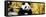 China 10MKm2 Collection - Giant Panda-Philippe Hugonnard-Framed Stretched Canvas