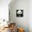 China 10MKm2 Collection - Giant Panda-Philippe Hugonnard-Stretched Canvas displayed on a wall