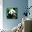 China 10MKm2 Collection - Giant Panda-Philippe Hugonnard-Photographic Print displayed on a wall