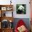 China 10MKm2 Collection - Giant Panda-Philippe Hugonnard-Photographic Print displayed on a wall