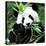 China 10MKm2 Collection - Giant Panda-Philippe Hugonnard-Stretched Canvas