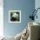 China 10MKm2 Collection - Giant Panda-Philippe Hugonnard-Framed Photographic Print displayed on a wall