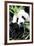 China 10MKm2 Collection - Giant Panda-Philippe Hugonnard-Framed Photographic Print