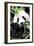 China 10MKm2 Collection - Giant Panda-Philippe Hugonnard-Framed Photographic Print