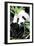 China 10MKm2 Collection - Giant Panda-Philippe Hugonnard-Framed Photographic Print