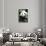 China 10MKm2 Collection - Giant Panda-Philippe Hugonnard-Framed Stretched Canvas displayed on a wall