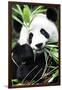 China 10MKm2 Collection - Giant Panda-Philippe Hugonnard-Framed Photographic Print