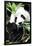 China 10MKm2 Collection - Giant Panda-Philippe Hugonnard-Framed Photographic Print