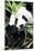 China 10MKm2 Collection - Giant Panda-Philippe Hugonnard-Mounted Premium Photographic Print