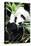 China 10MKm2 Collection - Giant Panda-Philippe Hugonnard-Stretched Canvas