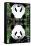 China 10MKm2 Collection - Giant Panda-Philippe Hugonnard-Framed Stretched Canvas