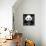 China 10MKm2 Collection - Giant Panda-Philippe Hugonnard-Framed Stretched Canvas displayed on a wall